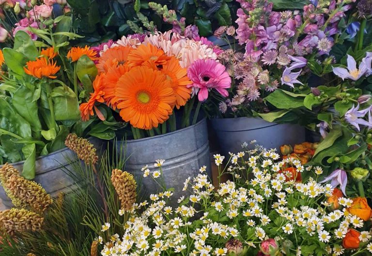 De leukste bloemenervaring feature image 01